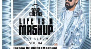 Insane Vs Hajde (Mashup) - DJ Chetas