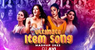 Ultimate Item Song Mashup 2023 - DJ Avi