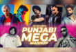 Punjabi Mega Mashup 2024 - Dip SR X Pritz