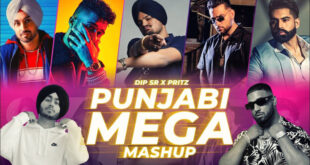 Punjabi Mega Mashup 2024 - Dip SR X Pritz