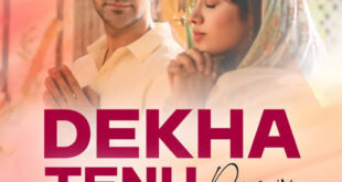 Dekhha Tenu Pehli Pehli Baar Ve (Remix) - DJ Shadow Dubai x Hasnain Music