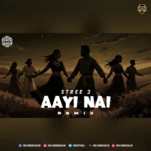 Aayi Nai (Remix) - DJ MITRA