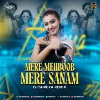 Mere Mehboob Mere Sanam (Remix) - DJ Shreya