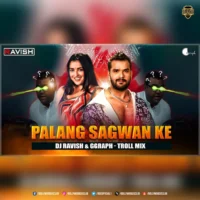 Palang Sagwan Ke (Club Mix) - Troll - DJ Ravish & Ggraph