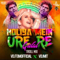 Holiya Mein Ude Re Gulal (Troll Mix) - VDJTOMOFFICIAL & VDJ MIT